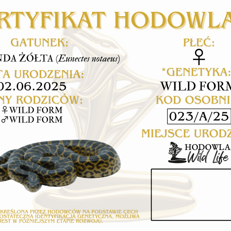 023 CERTYFIKAT ANDZIA(1)