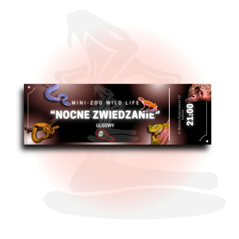 Bilet wstępu na NOCNE ZWIEDZANIE - ulgowy